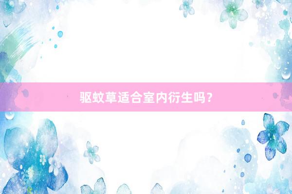 驱蚊草适合室内衍生吗？