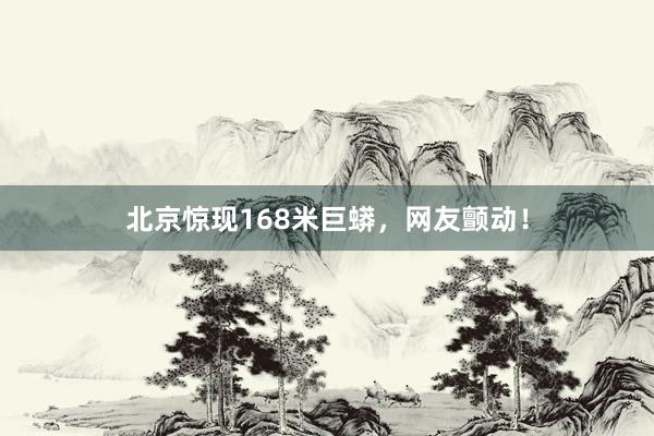 北京惊现168米巨蟒，网友颤动！